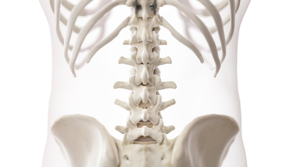 Understanding & Relieving Lower Back Pain